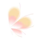 Họa tiết bướm